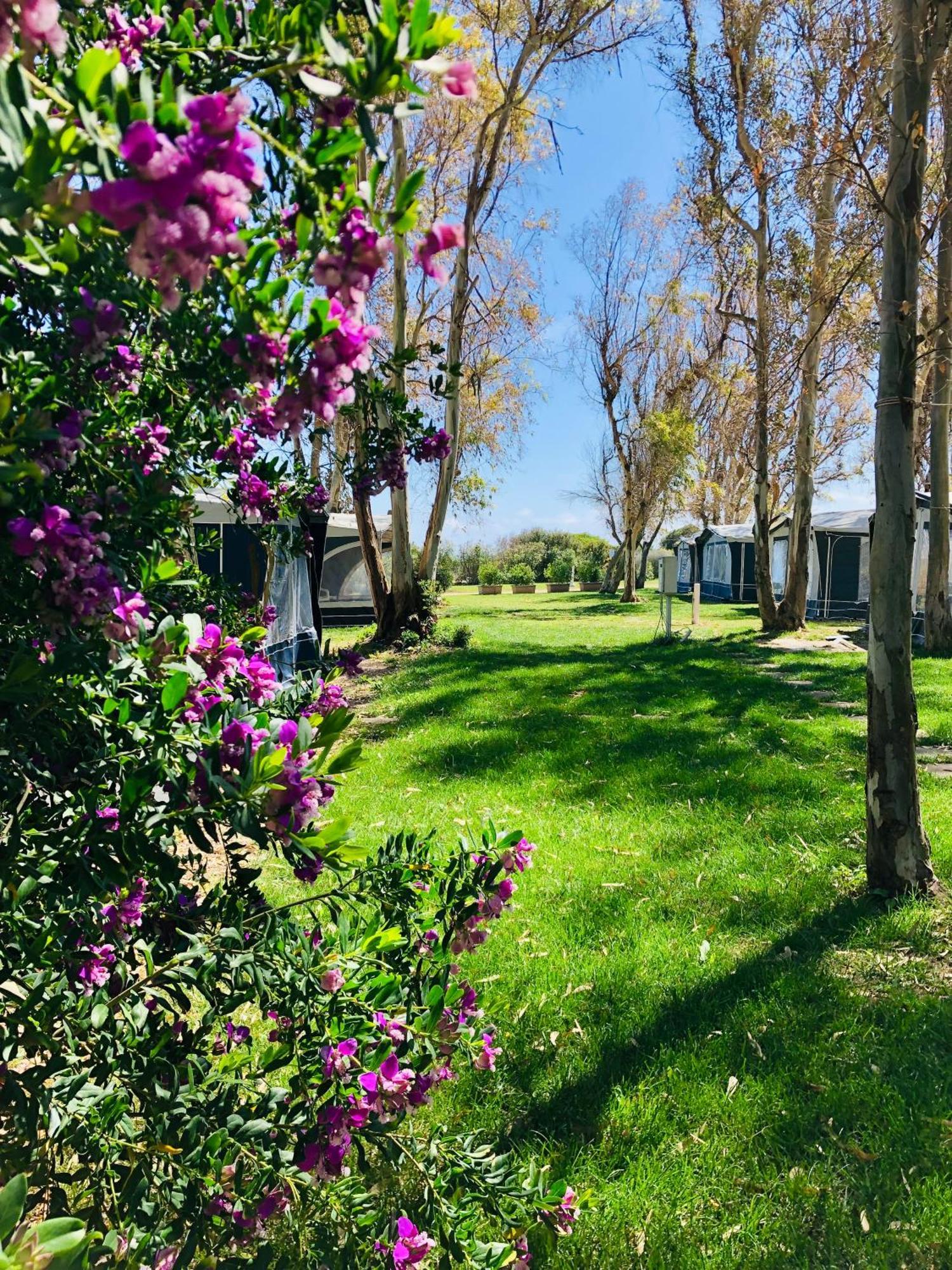 Camping Cala D'Ostia Pula Ngoại thất bức ảnh