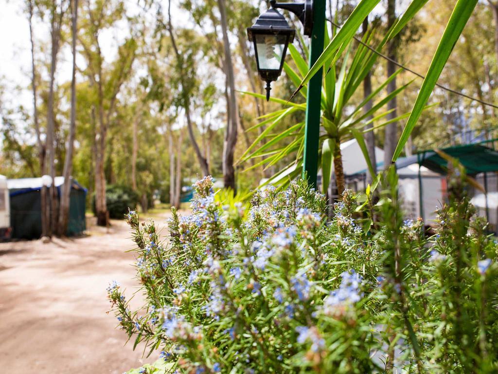 Camping Cala D'Ostia Pula Ngoại thất bức ảnh