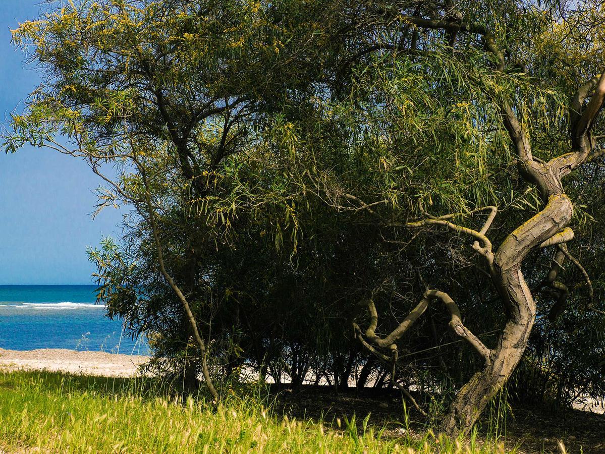 Camping Cala D'Ostia Pula Ngoại thất bức ảnh
